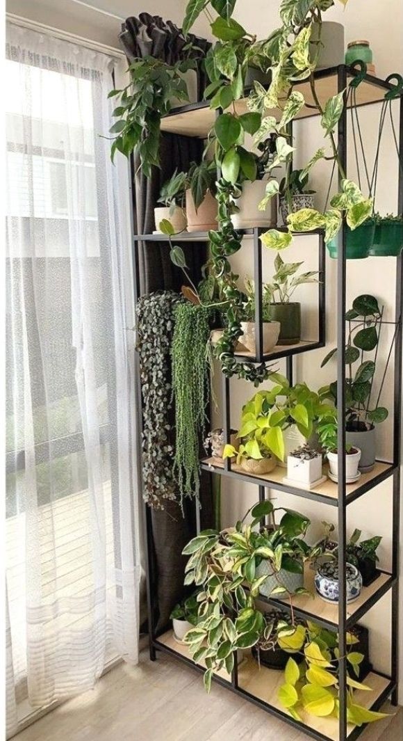 طراحی گلخانه