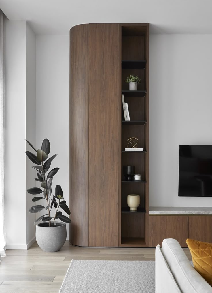 طراحی دیوار تلویزیون